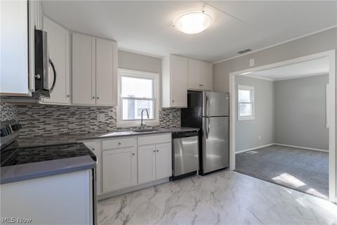 355 Roosevelt Ave, Elyria, OH 44035 photo 8