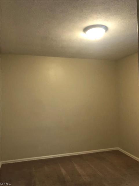1307 Cedar Dr, Lorain, OH 44052 photo 14
