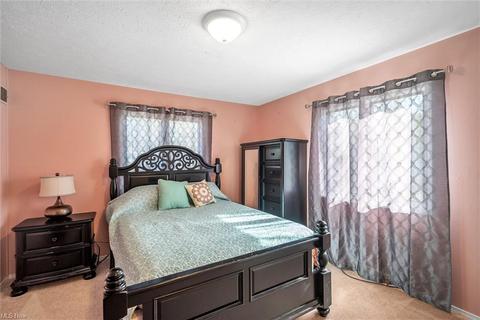 3995 Call Rd, Perry, OH 44081 photo 28