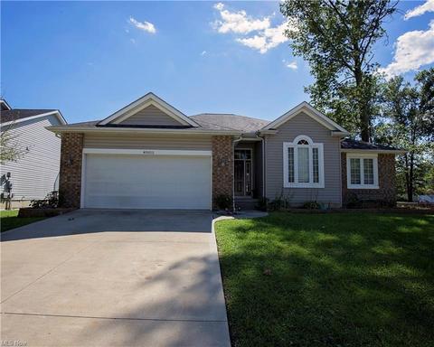 40015 Ryan Ct, Elyria, OH 44035 photo 1