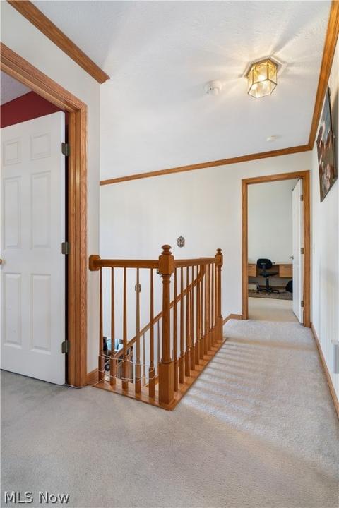 3085 Wickford Ave NW, Canton, OH 44708 photo 16