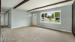 7639 Pinehurst Dr, Mentor On The Lake, OH 44060 photo 29
