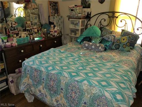 5528 Madison Ave, Ashtabula, OH 44004 photo 9
