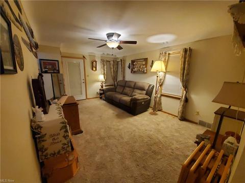 514 Spring St, Struthers, OH 44471 photo 6