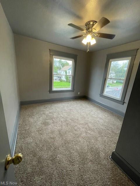 261 Maplewood Ave, Struthers, OH 44471 photo 6