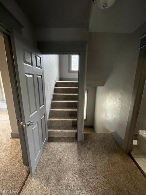 261 Maplewood Ave, Struthers, OH 44471 photo 8