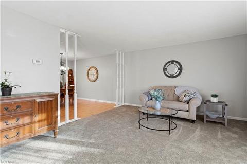 260 Crestview, Elyria, OH 44035 photo 4