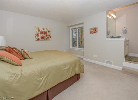 3966 Stonebridge Blvd, Copley, OH 44321 photo 21