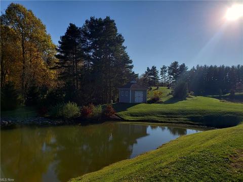 11297 Bean Rd, Chardon, OH 44024 photo 25
