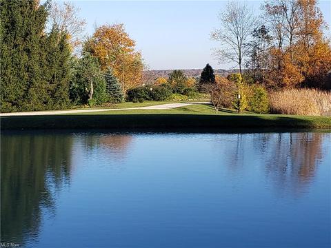 11297 Bean Rd, Chardon, OH 44024 photo 28