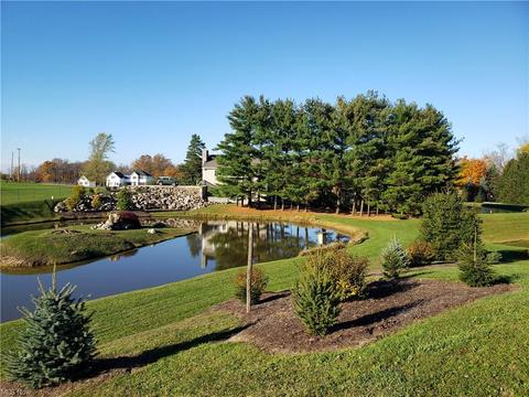 11297 Bean Rd, Chardon, OH 44024 photo 34