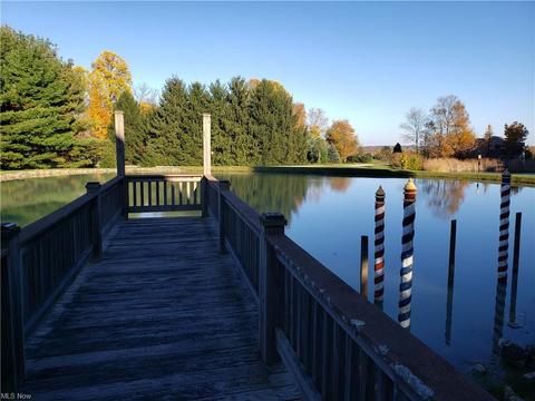 11297 Bean Rd, Chardon, OH 44024 photo 30