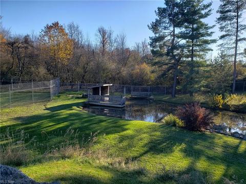 11297 Bean Rd, Chardon, OH 44024 photo 33