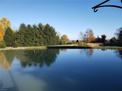 11297 Bean Rd, Chardon, OH 44024 photo 29