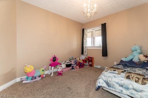 2567 E Union Rd, Jefferson, OH 44047 photo 17