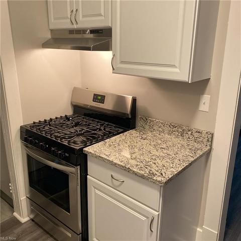 238 Olive St, Elyria, OH 44035 photo 6