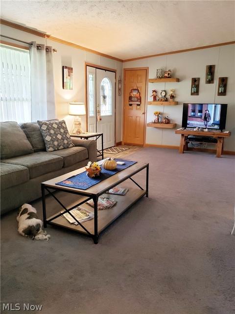 429 Anderson Rd, Fleming, OH 45729 photo 10