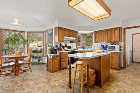 132 Bryan Ct, Elyria, OH 44035 photo 4