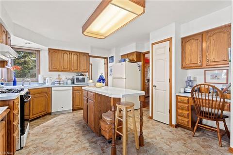 132 Bryan Ct, Elyria, OH 44035 photo 7