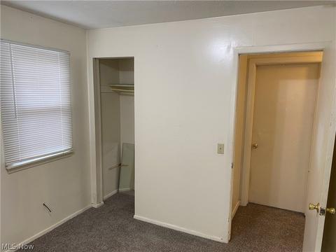 6888 Roe Blvd, Madison, OH 44057 photo 19