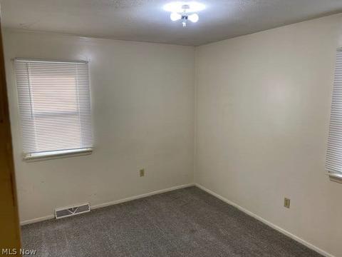 6888 Roe Blvd, Madison, OH 44057 photo 20