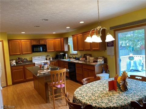 39062 Ryan Ct, Elyria, OH 44035 photo 14