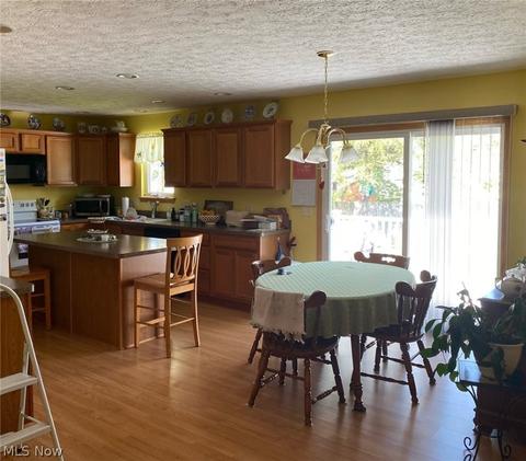 39062 Ryan Ct, Elyria, OH 44035 photo 8