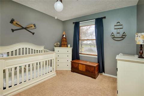 11976 Beloit Snodes Rd, Beloit, OH 44609 photo 18