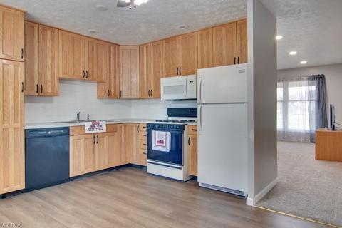 4102 Sabin Dr, Rootstown, OH 44272 photo 6