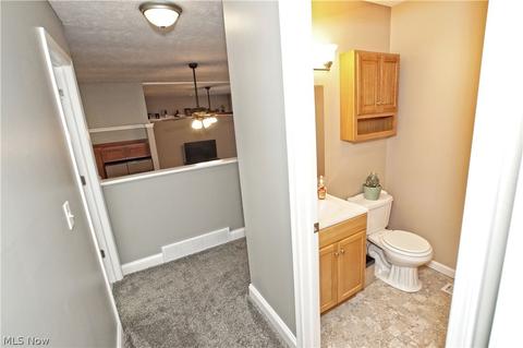 4783 River Rd, Perry, OH 44081 photo 27