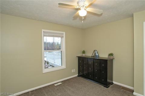 4783 River Rd, Perry, OH 44081 photo 24