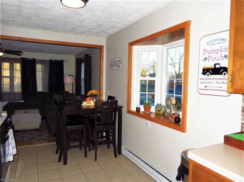306 Longfellow St, Elyria, OH 44035 photo 8