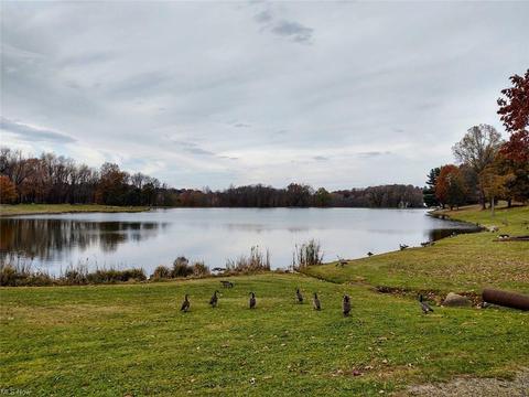 1628 Spring Valley Ave NW, Canton, OH 44708 photo 4