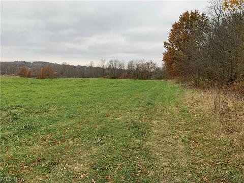 18394 State Route 62, Beloit, OH 44609 photo 3