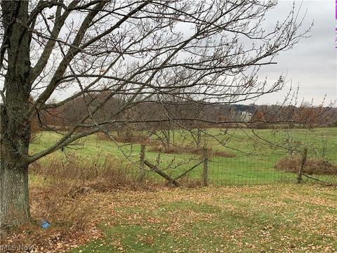 18394 State Route 62, Beloit, OH 44609 photo 5