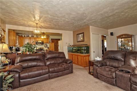 8802 Oberlin Rd, Elyria, OH 44035 photo 3
