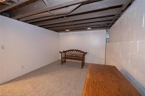 29632 Phillips Ave, Wickliffe, OH 44092 photo 27