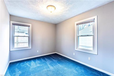 559 Delaware Ave, Elyria, OH 44035 photo 19