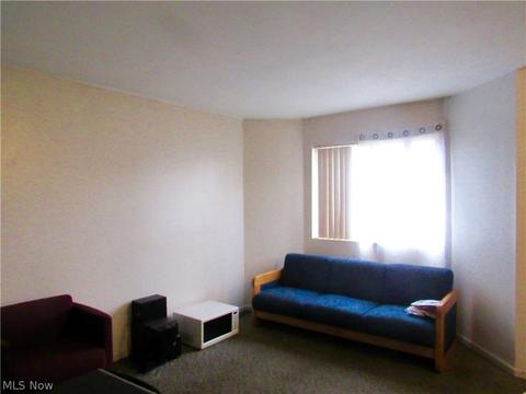 656 E Buchtel Ave, Akron, OH 44304 photo 3