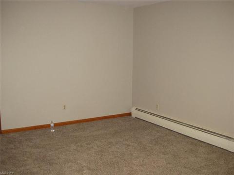 306 West St, Lagrange, OH 44050 photo 24