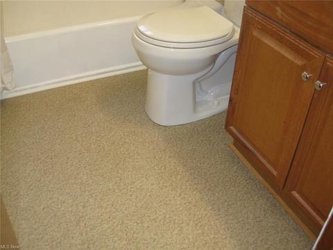 306 West St, Lagrange, OH 44050 photo 20