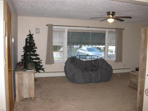 306 West St, Lagrange, OH 44050 photo 9