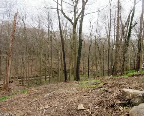Gorge Park Boulevard, Stow, OH 44224