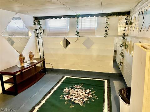 930 E 260th St, Euclid, OH 44132 photo 13