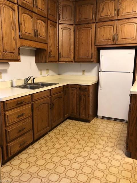 610 E Wayne Ave, Wooster, OH 44691 photo 3
