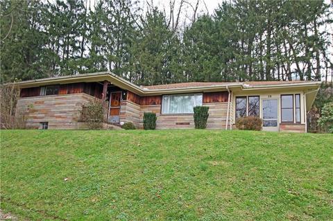 38 1st St, Beech Bottom, WV 26030 photo 1
