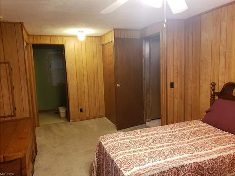 84 Pike Ct, Lagrange, OH 44050 photo 16