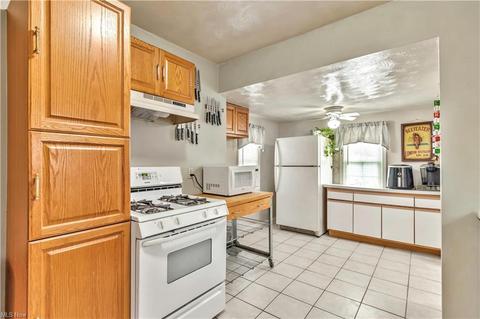 8864 W Ridge Rd, Elyria, OH 44035 photo 21