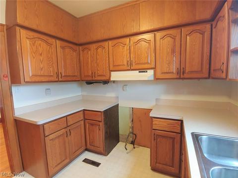 110 West St, Kipton, OH 44049 photo 5