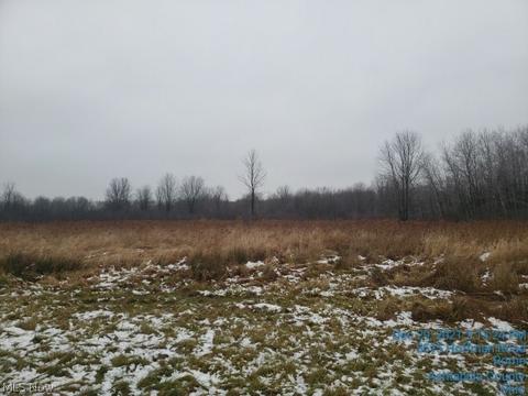 5515 Hoffman Rd, Rome, OH 44085 photo 6